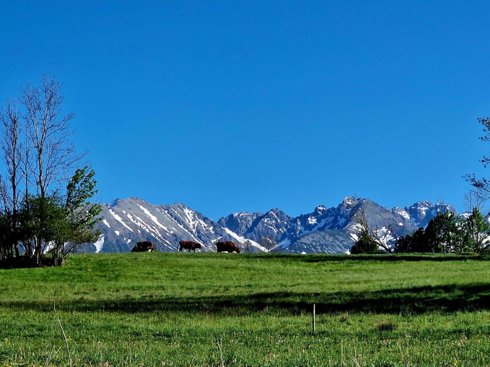Zakopianski Zakatek Zakopane Ngoại thất bức ảnh